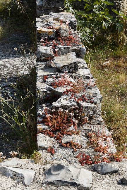 Vaison la Romaine-063